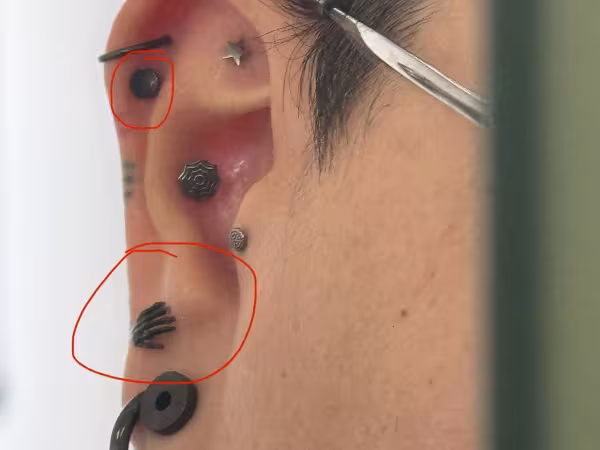 NeedleBug Piercings, piercing studio in St. George, UT