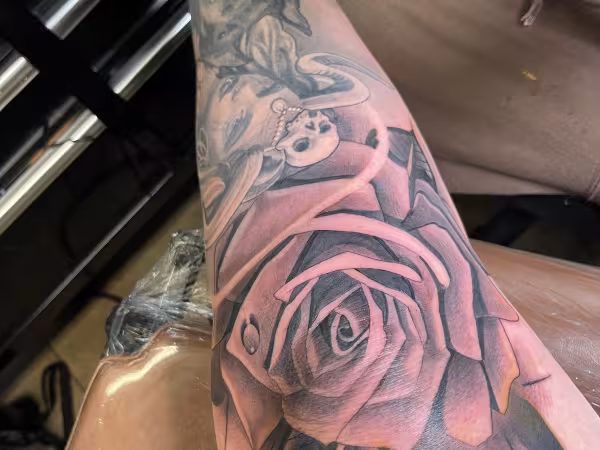TRUE Color Tattoos, tattoo shop in Homestead, FL