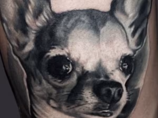 Tattoos By Cesar Perez, tattoo shop in Keene, NH