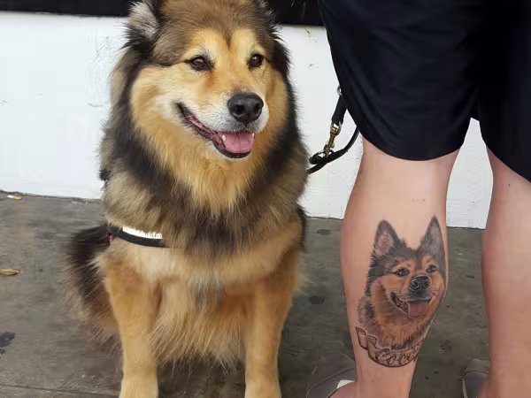 The Oracle Tattoo Studio, tattoo shop in Spring Valley, CA