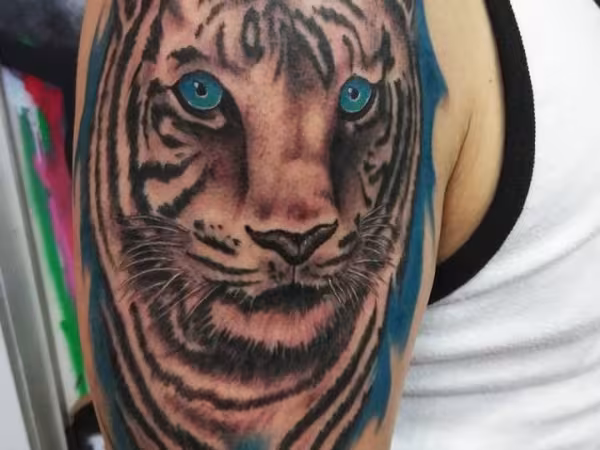 Legendary Ink Tattoo and Piercing Studio, tattoo shop in Elkhart, IN