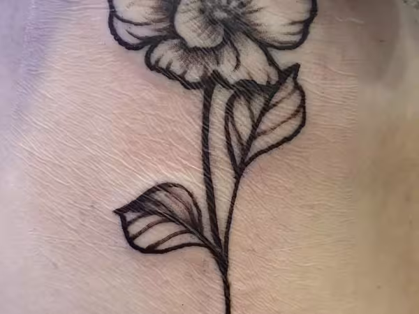 Exodus Tattoo & Body Piercing, LLC, tattoo shop in Enfield, CT