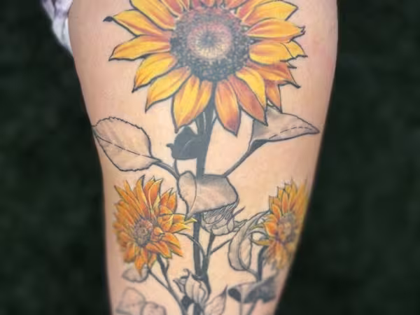 Sharky's Paradise, tattoo shop in Longmont, CO