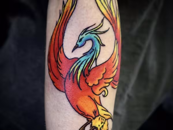 Wild Child Tattoo, tattoo shop in Broomfield, CO