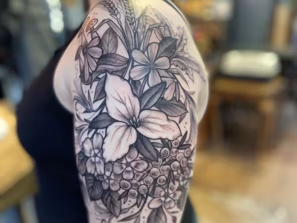 Divination Tattoo, tattoo shop in Asheville, NC