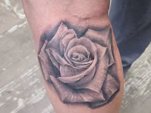 Tattoo Envy, tattoo shop in Flowery Branch, GA