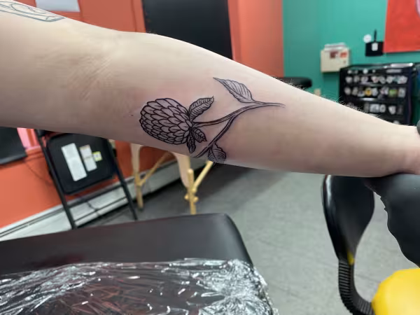 Vermont Custom Tattoo and Piercing, tattoo shop in Burlington, VT