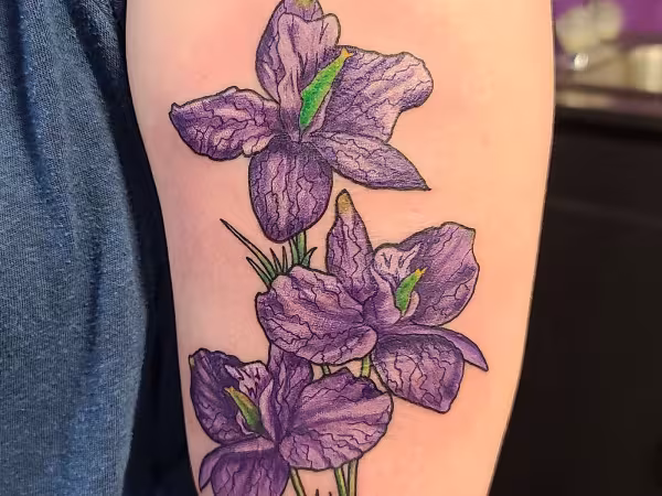 Noble Tattoos & Piercings, tattoo shop in Boone, NC