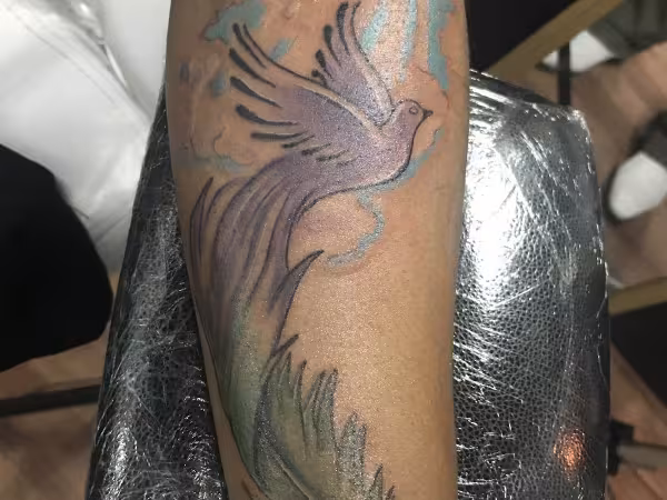 So Fly Ink, tattoo shop in Sacramento, CA