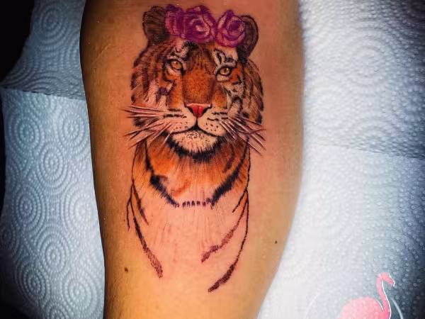 Major Ink Studios, tattoo shop in Miramar, FL