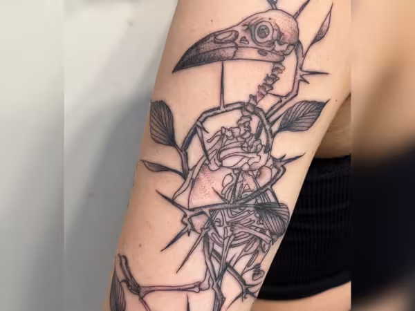 Emerald Tattoo & Piercing - Roseville, tattoo shop in Roseville, CA