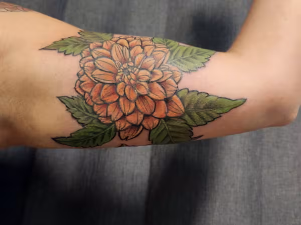 Raving Artist Tattoo Studio, tattoo shop in Portland, OR