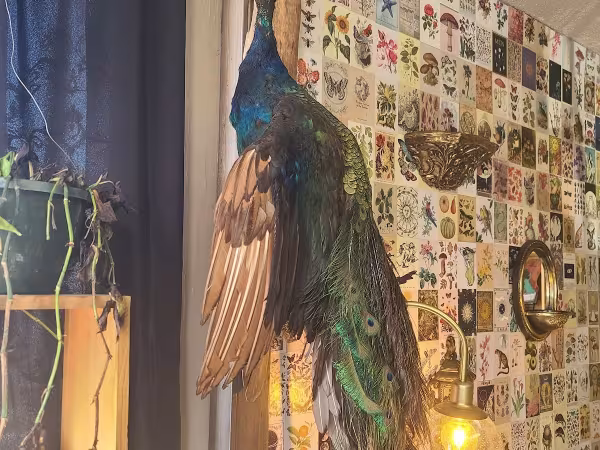 Bohemian Ink Studio, tattoo shop in Brazil, IN