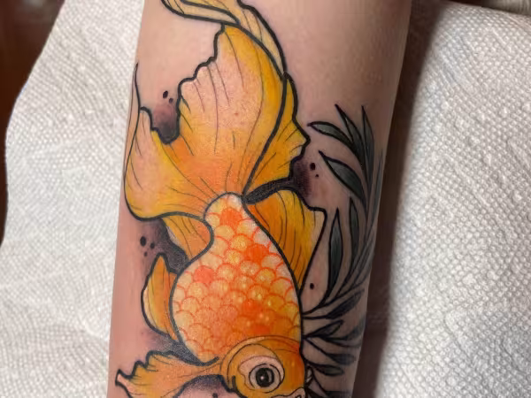 Goblin House Tattoo Studio, tattoo shop in Fayetteville, AR