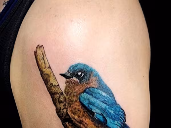 Humble Tattoo and Piercing, tattoo shop in Kankakee, IL