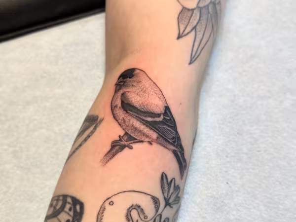 Mestizo Tattoos, tattoo shop in Seattle, WA
