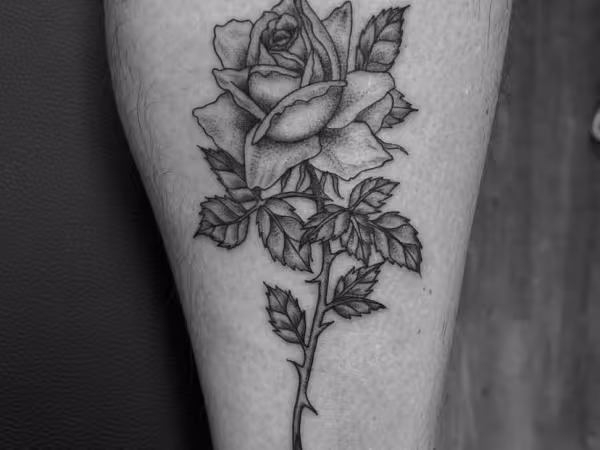 Nightshade&reg;️ Tattoo, tattoo shop in Seattle, WA