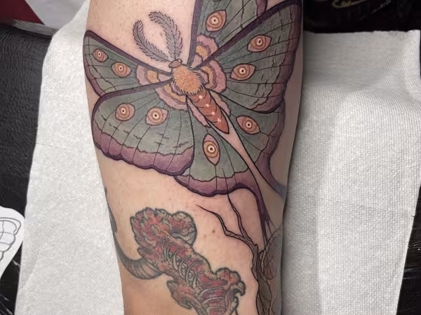 Apothic Tattoo Studio, tattoo shop in Lutz, FL