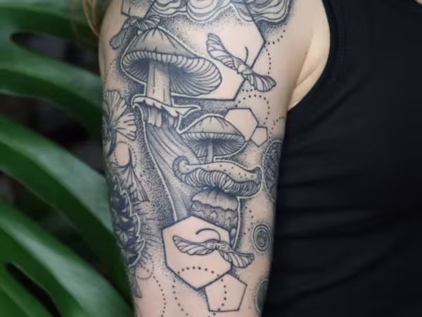 Adorned Art Collective & Tattoo, tattoo shop in Manchester, MI