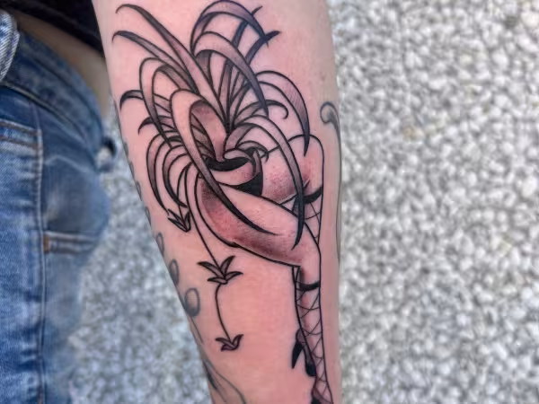 Tattoos by Kelsey, tattoo shop in Iowa City, IA