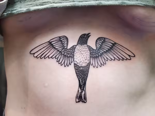 The Oddacity, tattoo shop in Bellingham, WA
