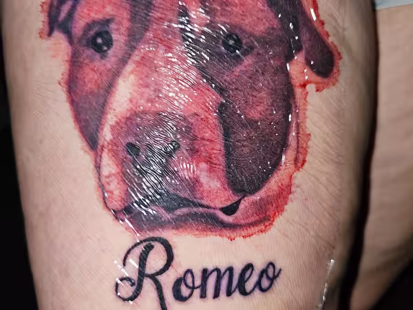 Raven Ink Tattoo & Piercing, tattoo shop in Elyria, OH