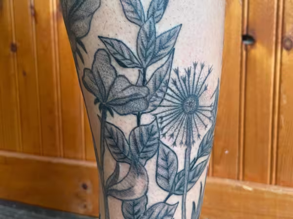 Cyne Art & Tattoo Studio, tattoo shop in North Webster, IN