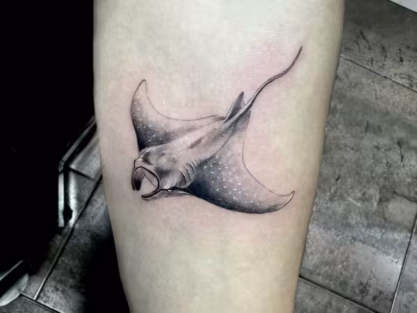 Aftershock Tattoo, tattoo shop in Miramar Beach, FL