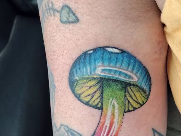 Moonlights Tattoo & Apothecary, tattoo shop in Alvarado, TX