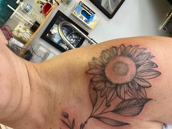 Wild Rose Tattooing, tattoo shop in Waconia, MN