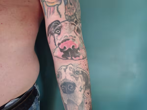 Queen Bee Piercing and Tattoo, tattoo shop in East Bend, NC