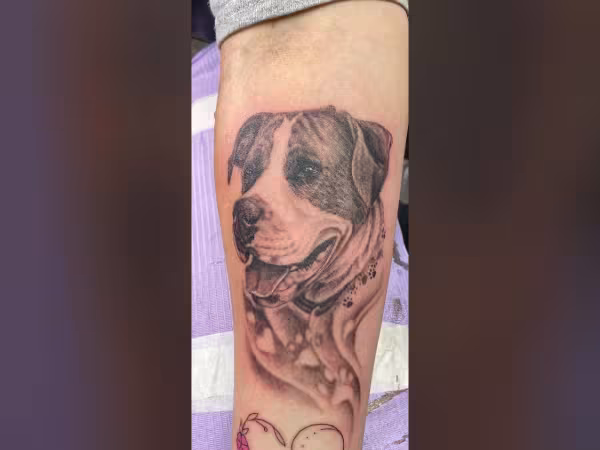 Sideshow Tattoo & Piercing, tattoo shop in Salt Springs, FL