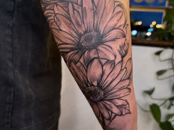 Synergy Body Art, tattoo shop in Lakewood, CO