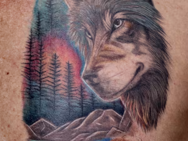 Arts and Inkss Tattoos, tattoo shop in Plano, TX