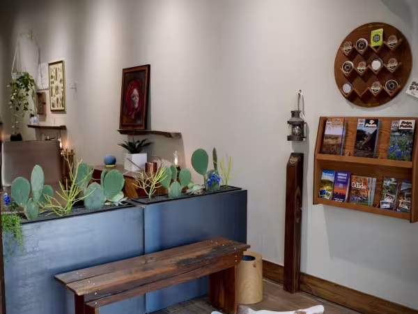 Bluebonnet Tattoo, tattoo shop in Austin, TX