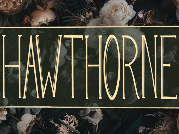 Hawthorne Tattoos and Fine Art, tattoo shop in Buffalo, NY