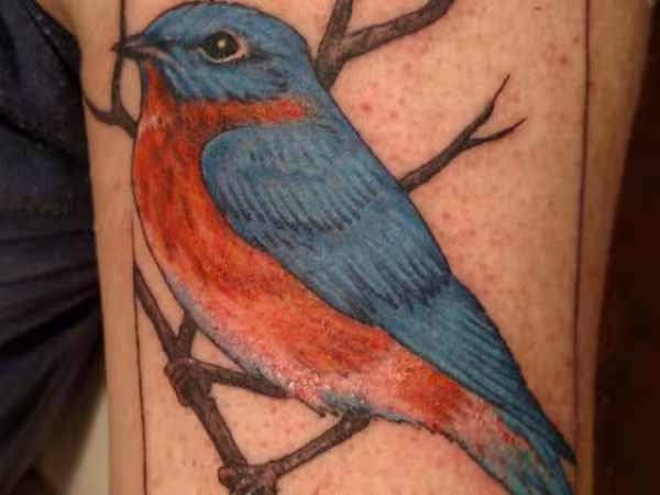 Ed Dempsey Tattoo Company, tattoo shop in Woodstock, NY