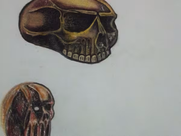 Pat's tatt's, tattoo shop in Minot, ND