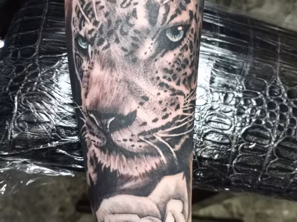 Justice Tattoo Studio, tattoo shop in Kalamazoo, MI