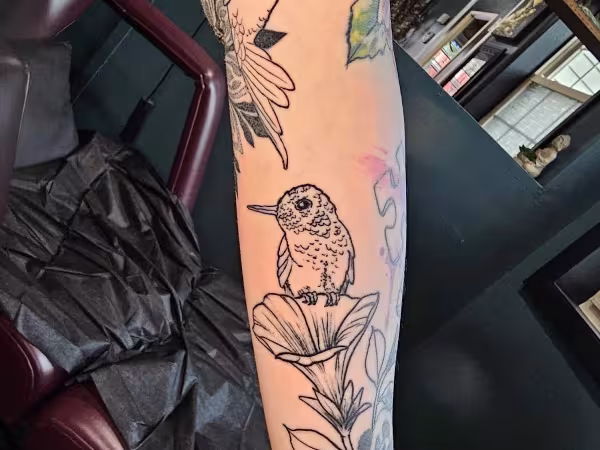 Artistic Anatomy Studio, tattoo shop in Forty Fort, PA