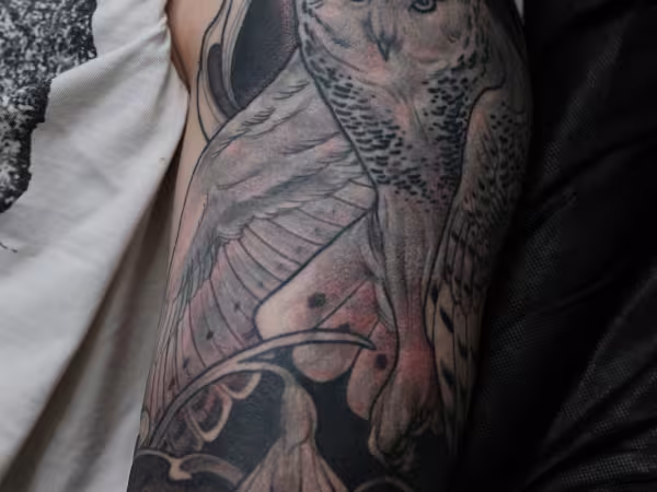 Gentle Biscuits Tattoo, tattoo shop in Richmond, VA