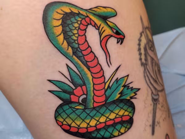 Rodeo Tiger, tattoo shop in Houston, TX