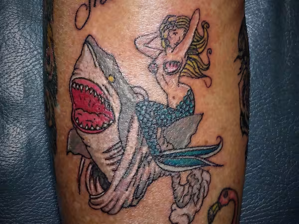 Zebra Tattooz, tattoo shop in Streetsboro, OH