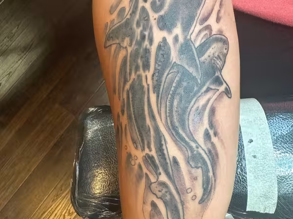 Cobra Custom Tattoo, tattoo shop in Plymouth, MA