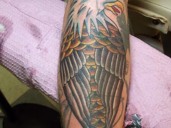 Aardvark Tattoos & Body Piercing, tattoo shop in St Johns, MI