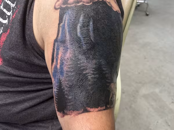 Oracle Body Shop Tattoo Parlor, tattoo shop in Tamaqua, PA