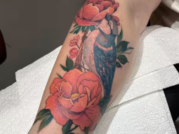 SLC Ink Tattoo: Salt Lake City, Utah, tattoo shop in Salt Lake City, UT