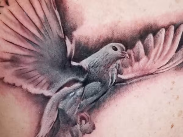 Hollywood Stars Tattoo, tattoo shop in Los Angeles, CA