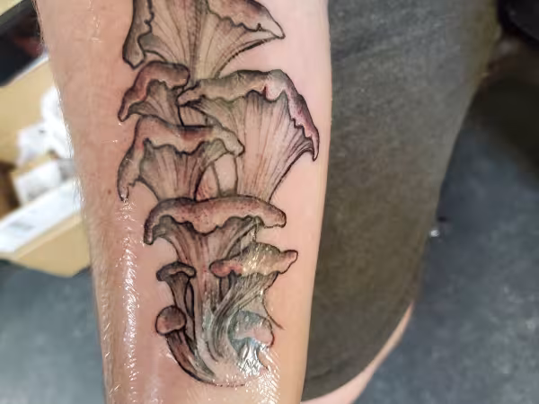 Element Tattoo, tattoo shop in Bozeman, MT