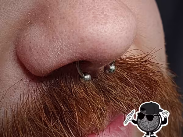 Wylde Sydes Tattoo & Body Piercing, tattoo shop in San Diego, CA